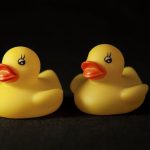 Bath Toys - A Rubber Ducks